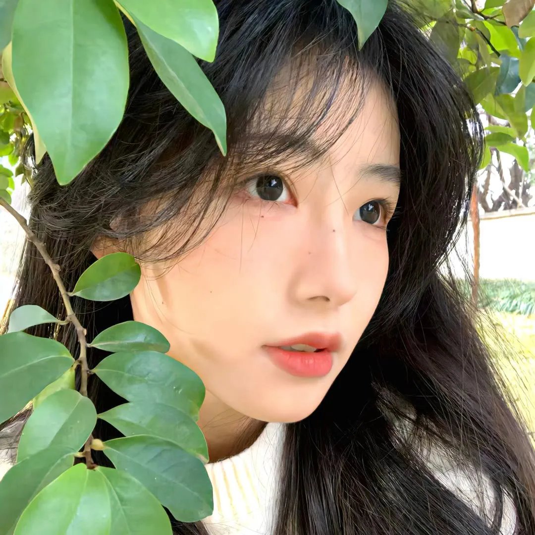 最后的狮子